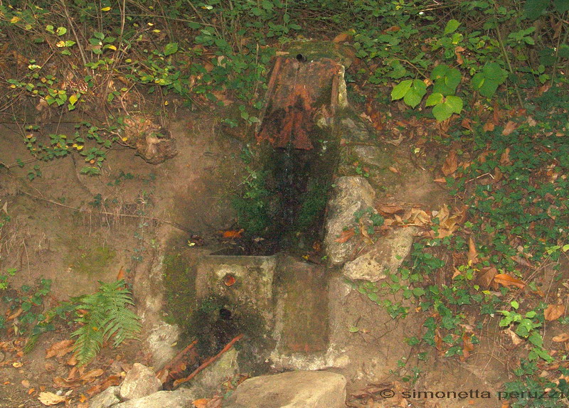 Itinerario da  Poggio alla Croce  Badia Montescalari